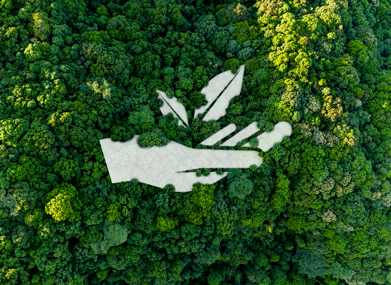 MAIS UM PASSO RUMO A UM FUTURO MAIS SUSTENTÁVEL MAIS UM PASSO RUMO A UM FUTURO MAIS SUSTENTÁVEL